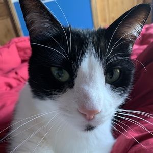 Meet your Posher, Mia